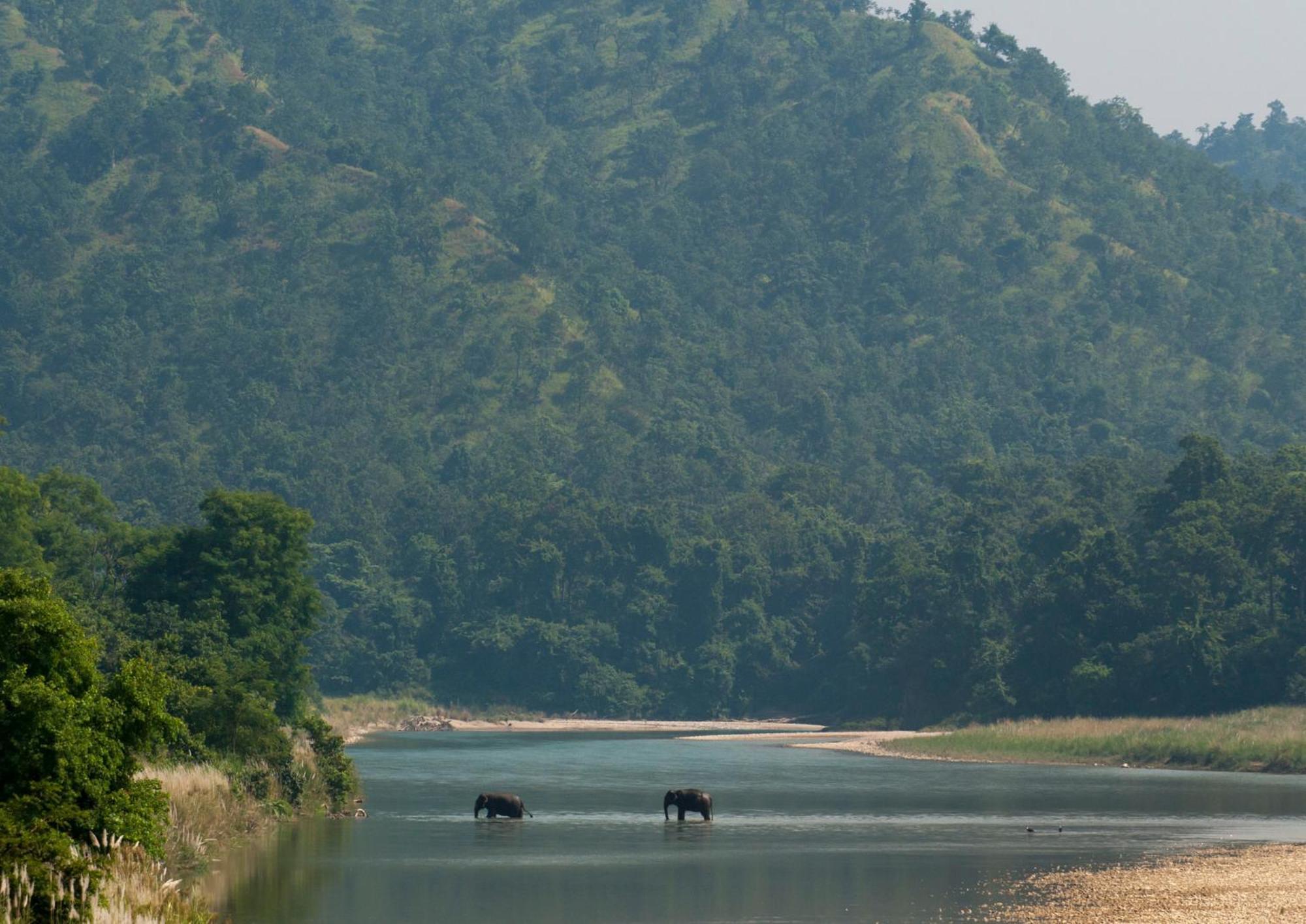 Tiger Tops Karnali Lodge Bardiya Exterior foto